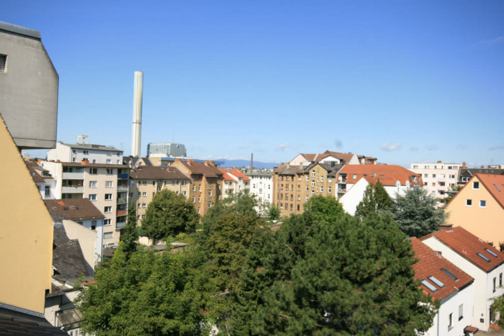 Bild6