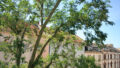 Bild2