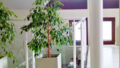 Bild4
