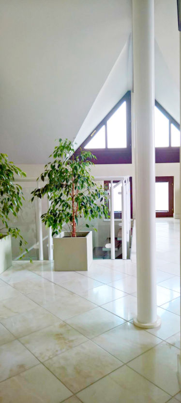 Bild4