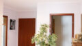 Bild3