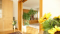 Bild5