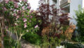 Bild4