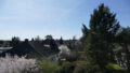 Bild6
