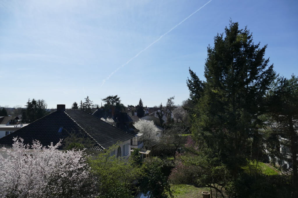 Bild6