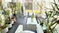 Bild6