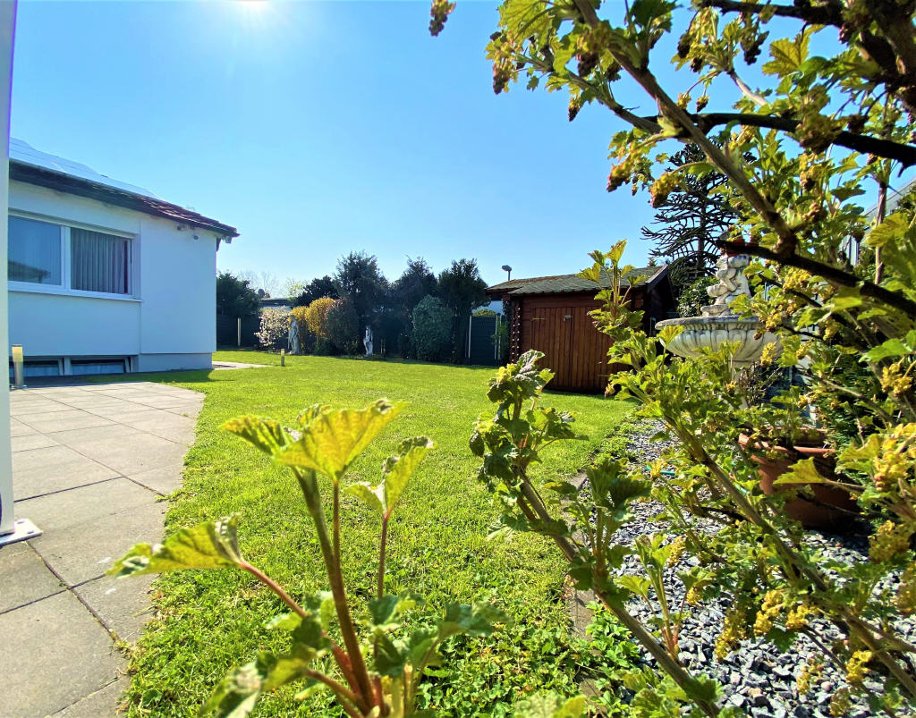 Bild1
