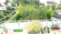 Bild9