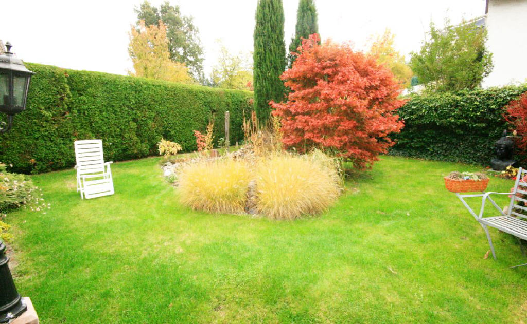 Bild16