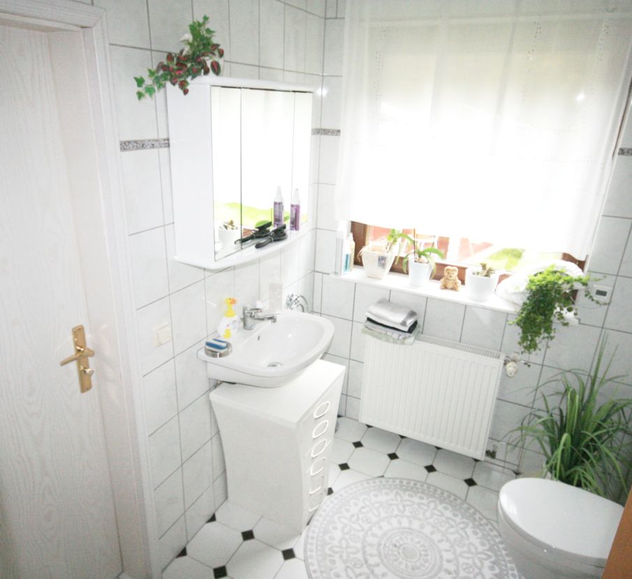 Bild6