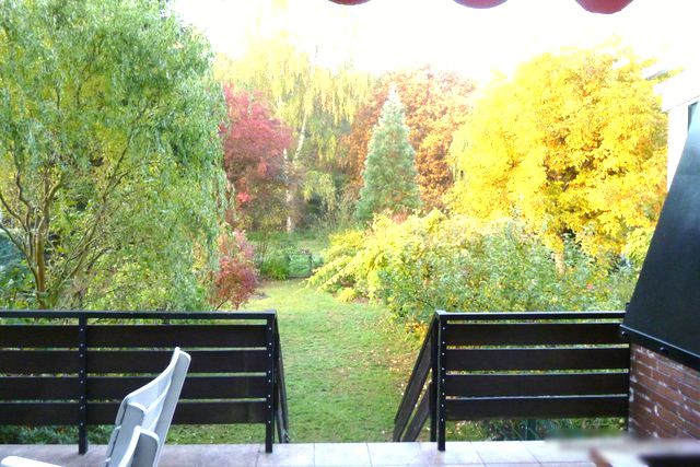 Bild5