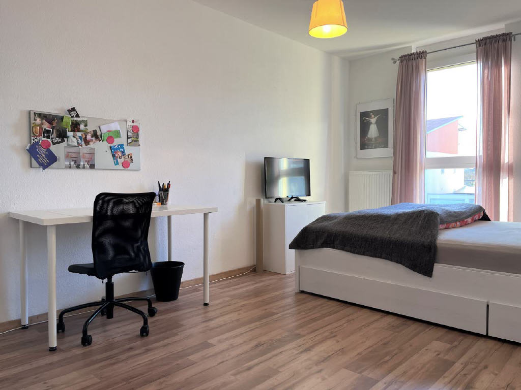 Bild13