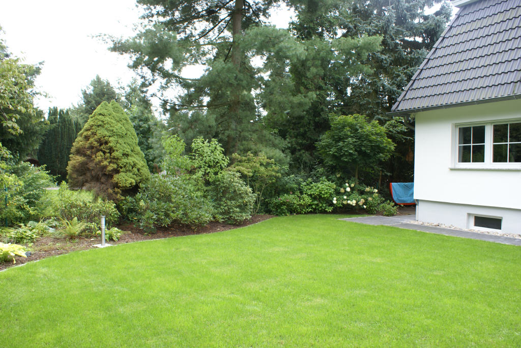 Bild4