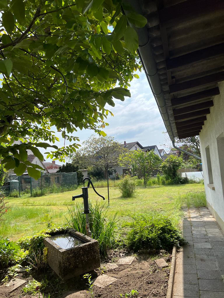 Bild3