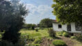 Bild5