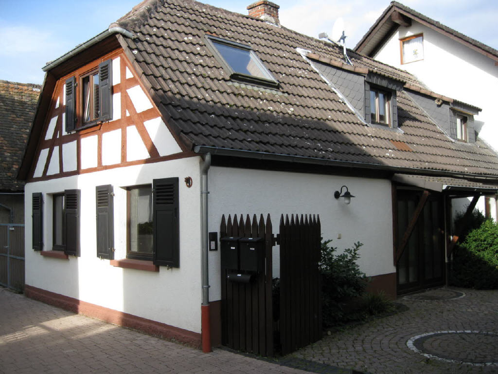 Bild1