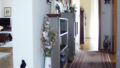 Bild5
